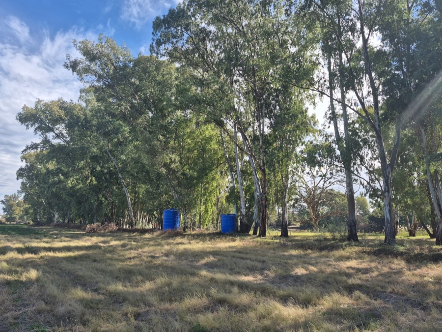 0 Bedroom Property for Sale in Die Erwe Northern Cape